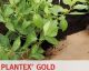 Plantex® telo gold 1 x 100 mt rot. 100mq telo nero / marrone 100% polipropilene